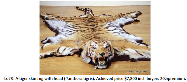 tiger skin rug